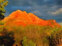 Sedona After the Rain�